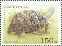 [Tortoises and Turtles, type FC]