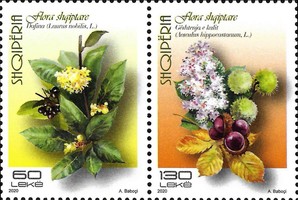 [Flowers, type ]
