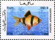 [Marine Life - Fish, type AEW]