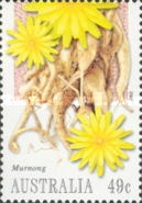 [Bush Tucker, type CBP]