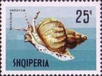[Marine Life, type XEN]