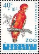 [Exotic Birds, type AAR]