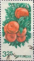 [Agriculture - Oranges, type ACC]