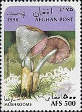 [Mushrooms, type ALT]