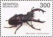 [Beetles, type MS]