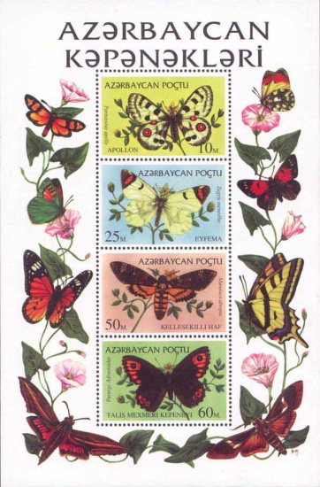 [Butterflies, type ]