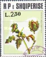 [Medicinal Plants, type XPX1]