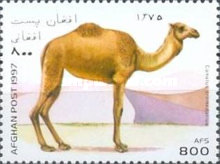 [Llamas & Camels, type ANK]