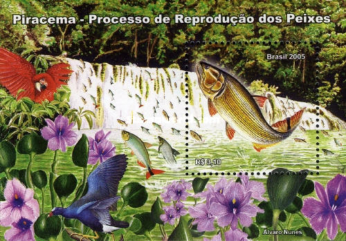 [Piracema - Fish Spawning Season, type ]