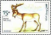[Fauna - Native Mammals, type AXP]