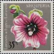 [Flowers, type XMO]