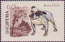 [Dogs, type YF]