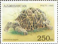 [Tortoises and Turtles, type FD]