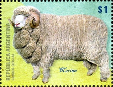 [Sheep in Argentina, type DJF]