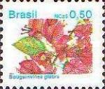 [Flowers - Currency expressed as "NCz $", type CIJ]