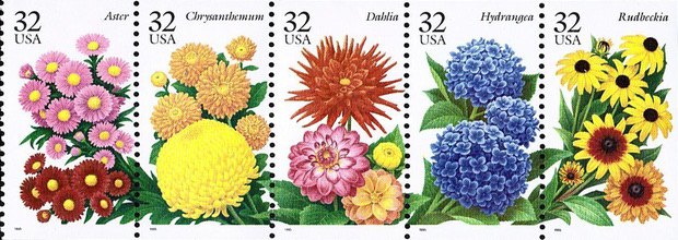 [Garden Flowers, type ]