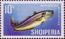 [Fish, type ZB]