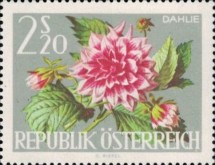 [Vienna International Horticultural Show, type ZX]