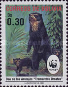 [The Spectacled Bear, type AIM]