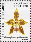 [Orchids, type DFT]