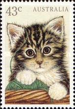 [House Pets, type APW]