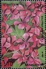 [Flowers, type RC]