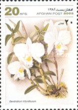 [Flowers - Orchids, type AWE]
