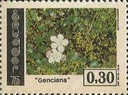 [Flowers, type BIZ]