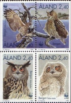 [Birds - Owls, type ]