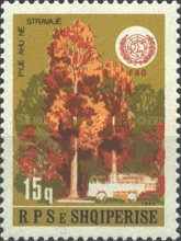 [Our Forests, type BFO]