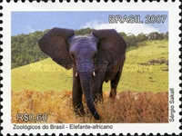 [Brazilian Zoos, type EBK]