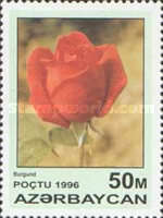 [Roses, type IT]