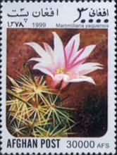 [Flora - Cacti, type ATK]