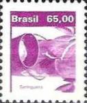 [Agricultural Products, type BYM]