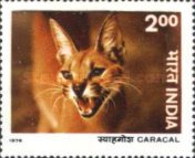 [Indian Wildlife, type SV]