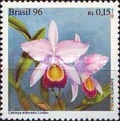 [The 15th Anniversary of the International Orchid Conference, Rio de Janeiro, type CYD]