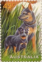 [Pets, type AZW1]