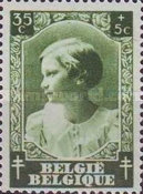 [The struggle against Tuberculosis, type FV2]