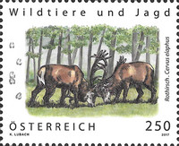 [Wild Animals and Hunting - Red Deer, type DMT]