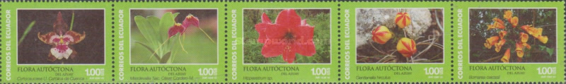 [Flora - Flowers, type ]