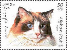 [Cats, type ANX]