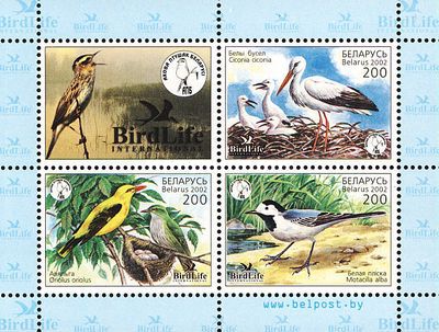 [Birds, type ]