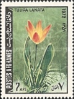 [Flora & Fauna, type QV]