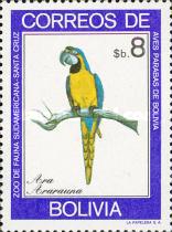 [Parrots, type YW]
