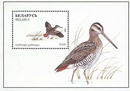 [Birds, type ]