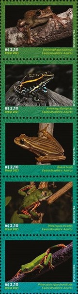 [Fauna - Frog Species of Brazil, type ]