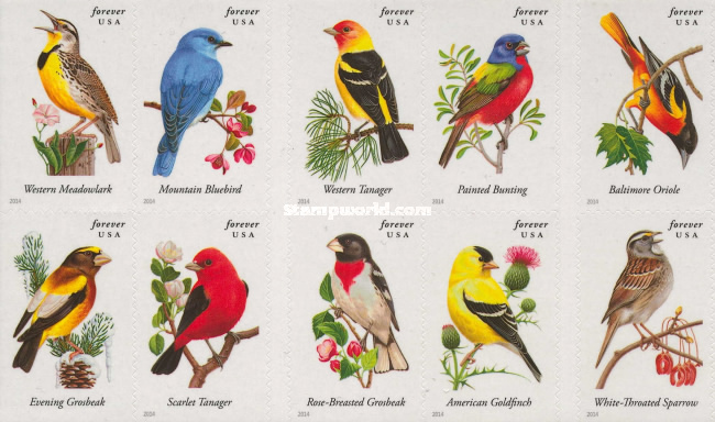 [Fauna - Song Birds, type ]