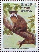 [Endangered Mammal, type CTI]