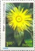 [Himalayan Flowers, type ABC]