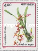 [Orchids, type ARA]